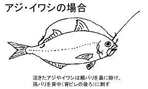 アジ・イワシ