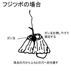 フジツボ