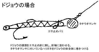 ドジョウ